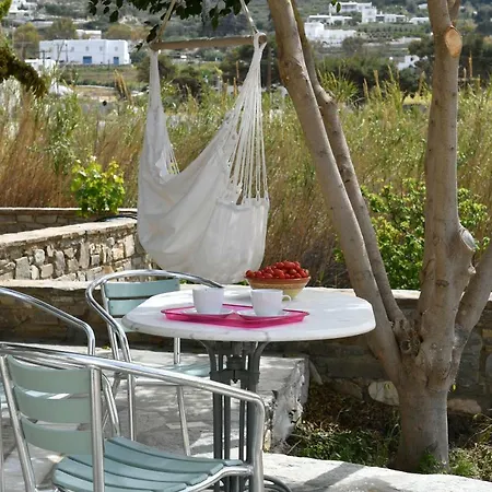 Apartment Little House On The Vineyard With Sea View