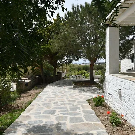 Little House On The Vineyard With Sea View *